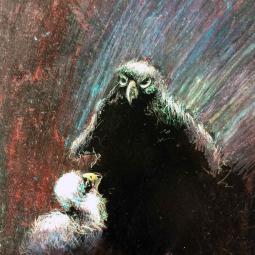 série sur les aigles