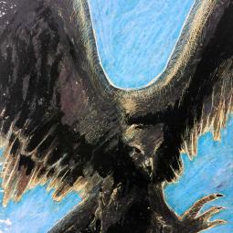 série sur les aigles